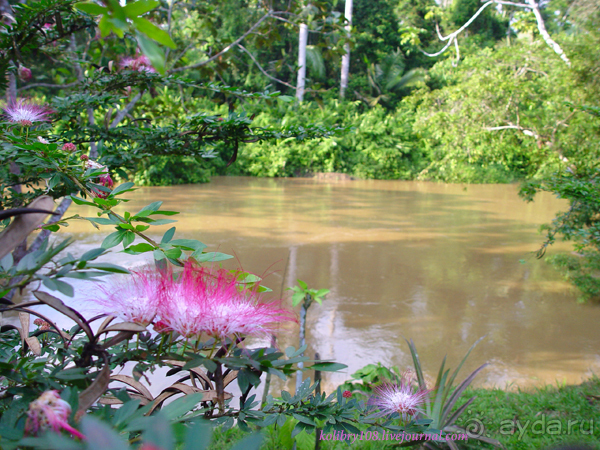 Эквадор (часть вторая)