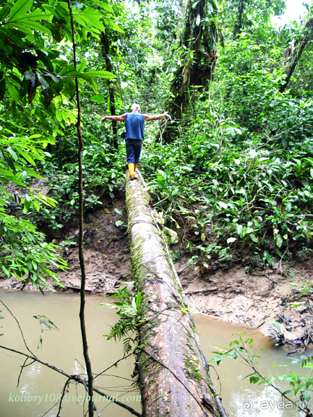 Эквадор (часть вторая)