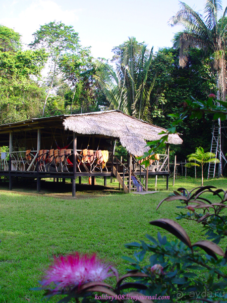 Эквадор (часть вторая)