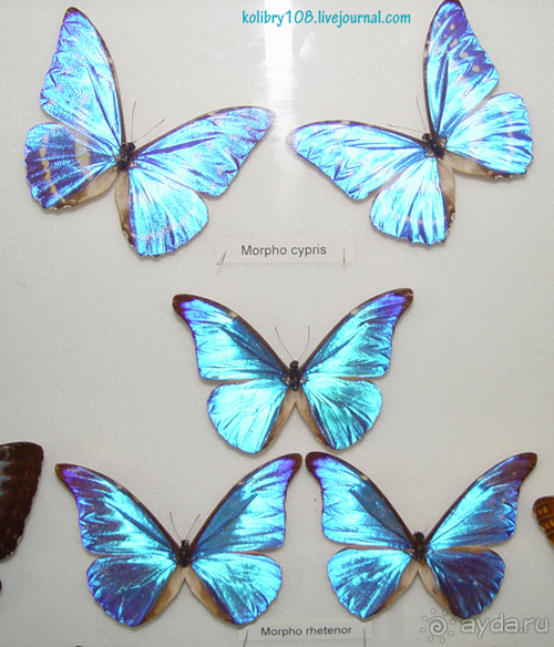 Эквадор (часть вторая)