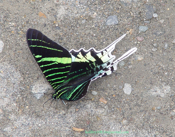 Эквадор (часть вторая)