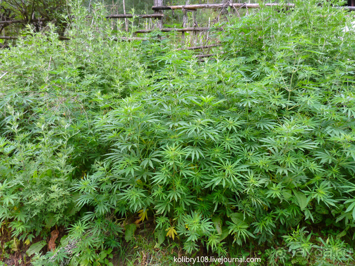 Бутан - Страна Счастливых Людей.