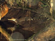 Эквадор (часть третья)