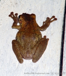 Эквадор (часть третья)