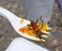 Эквадор (часть третья)