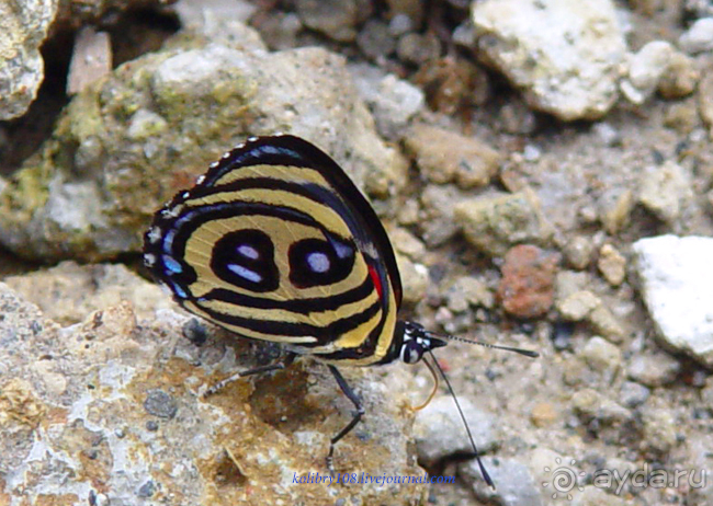 Эквадор (часть третья)