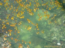 Малая Рица осенью.