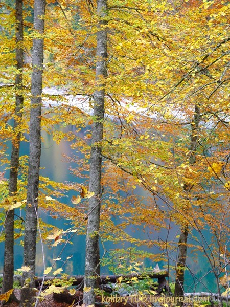 Малая Рица осенью.