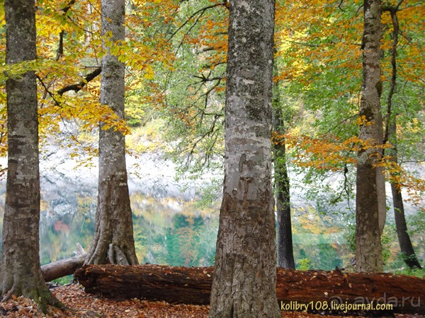 Малая Рица осенью.