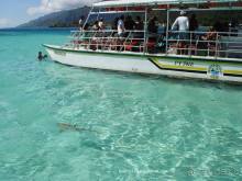 ПИКНИК НА ОБОЧИНЕ ПЛАНЕТЫ (Французская Полинезия).