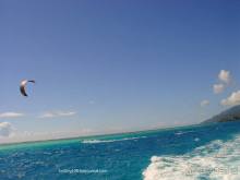 Альбом отзыва "ПИКНИК НА ОБОЧИНЕ ПЛАНЕТЫ (Французская Полинезия)."