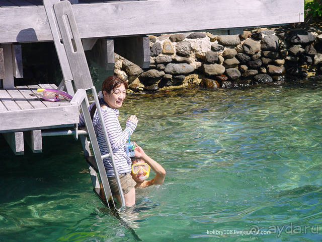 ПИКНИК НА ОБОЧИНЕ ПЛАНЕТЫ (Французская Полинезия).