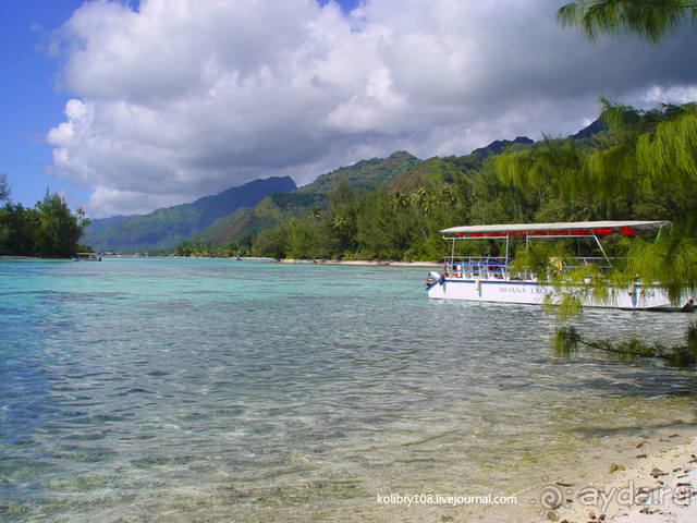 ПИКНИК НА ОБОЧИНЕ ПЛАНЕТЫ (Французская Полинезия).