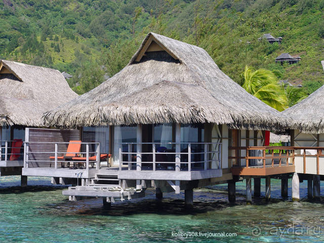 ПИКНИК НА ОБОЧИНЕ ПЛАНЕТЫ (Французская Полинезия).