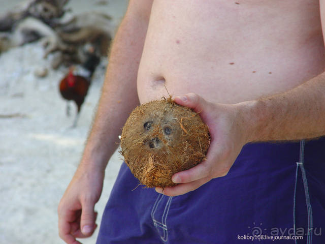 ПИКНИК НА ОБОЧИНЕ ПЛАНЕТЫ (Французская Полинезия).