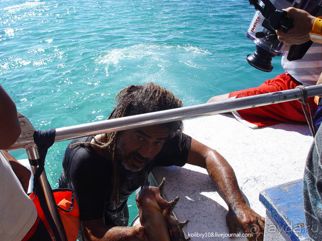 ПИКНИК НА ОБОЧИНЕ ПЛАНЕТЫ (Французская Полинезия).