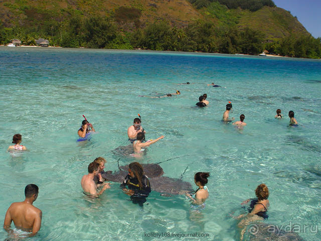 ПИКНИК НА ОБОЧИНЕ ПЛАНЕТЫ (Французская Полинезия).