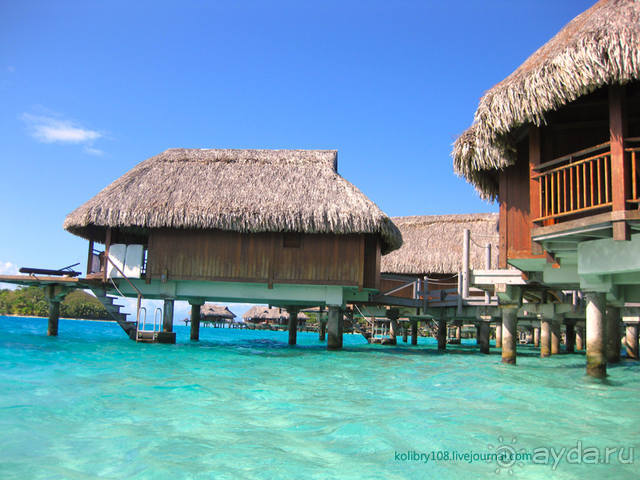 НА КАЯКЕ ВДОЛЬ ПОБЕРЕЖЬЯ БОРА-БОРА (и немного о собачьей любви).