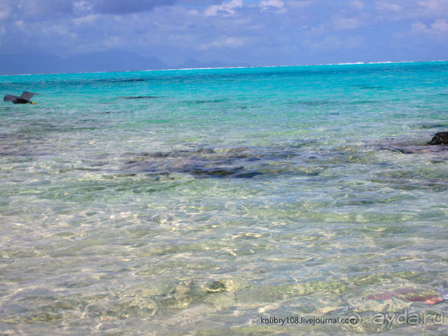 НА КАЯКЕ ВДОЛЬ ПОБЕРЕЖЬЯ БОРА-БОРА (и немного о собачьей любви).