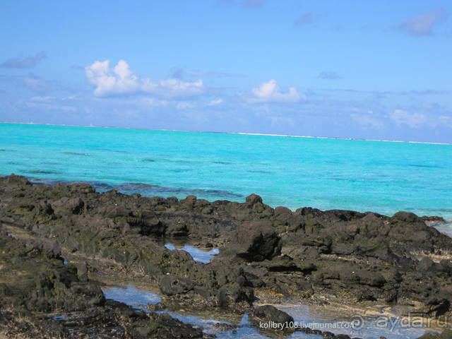 НА КАЯКЕ ВДОЛЬ ПОБЕРЕЖЬЯ БОРА-БОРА (и немного о собачьей любви).