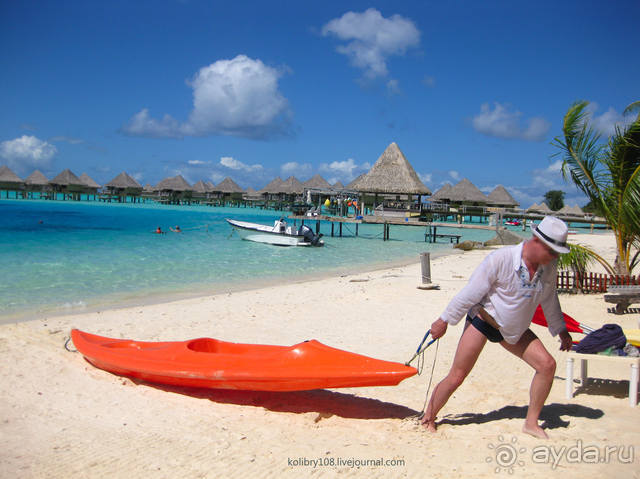 НА КАЯКЕ ВДОЛЬ ПОБЕРЕЖЬЯ БОРА-БОРА (и немного о собачьей любви).