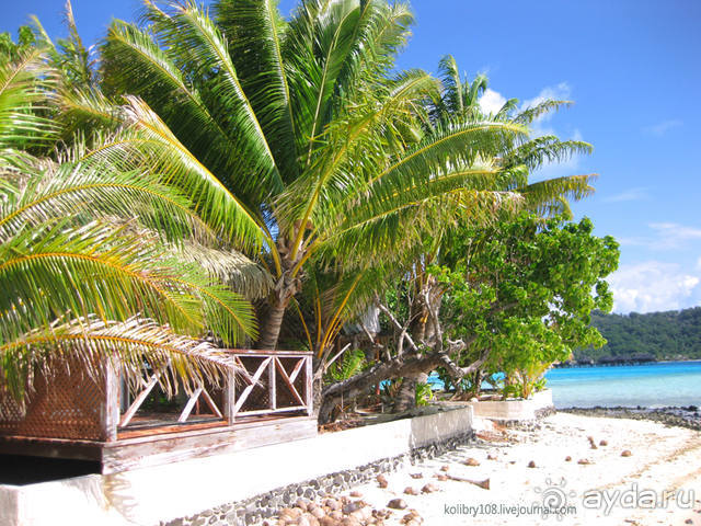 НА КАЯКЕ ВДОЛЬ ПОБЕРЕЖЬЯ БОРА-БОРА (и немного о собачьей любви).