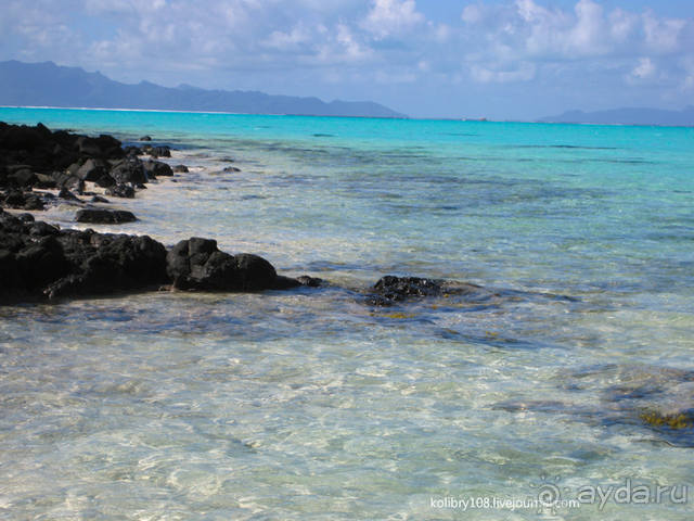 НА КАЯКЕ ВДОЛЬ ПОБЕРЕЖЬЯ БОРА-БОРА (и немного о собачьей любви).