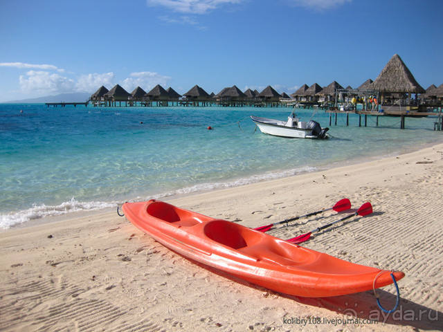 НА КАЯКЕ ВДОЛЬ ПОБЕРЕЖЬЯ БОРА-БОРА (и немного о собачьей любви).