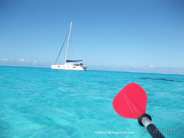 НА КАЯКЕ ВДОЛЬ ПОБЕРЕЖЬЯ БОРА-БОРА (и немного о собачьей любви).