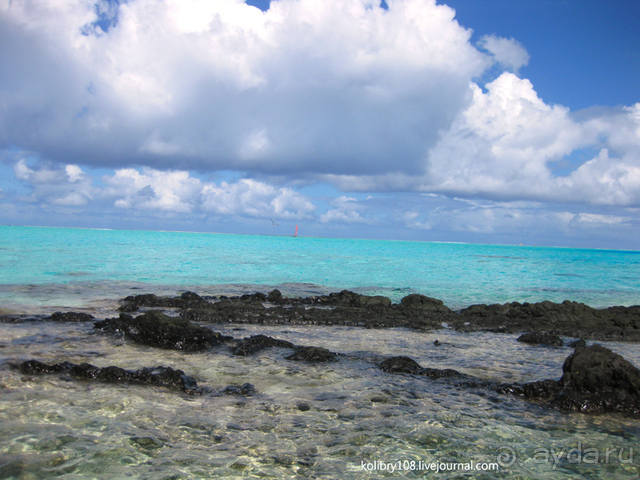 НА КАЯКЕ ВДОЛЬ ПОБЕРЕЖЬЯ БОРА-БОРА (и немного о собачьей любви).