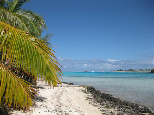 НА КАЯКЕ ВДОЛЬ ПОБЕРЕЖЬЯ БОРА-БОРА (и немного о собачьей любви).