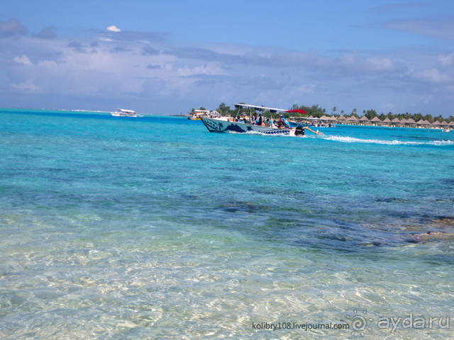 НА КАЯКЕ ВДОЛЬ ПОБЕРЕЖЬЯ БОРА-БОРА (и немного о собачьей любви).