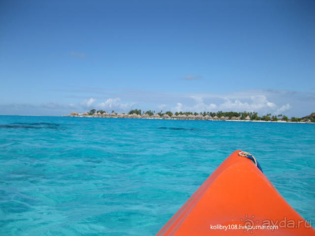 НА КАЯКЕ ВДОЛЬ ПОБЕРЕЖЬЯ БОРА-БОРА (и немного о собачьей любви).