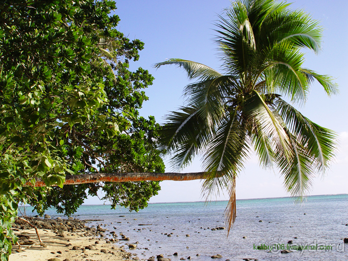 Фиджи (продолжение).