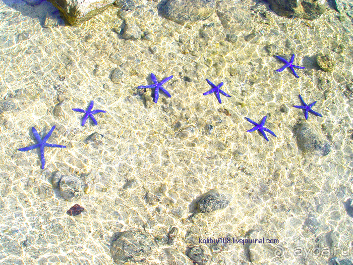 Фиджи (продолжение).