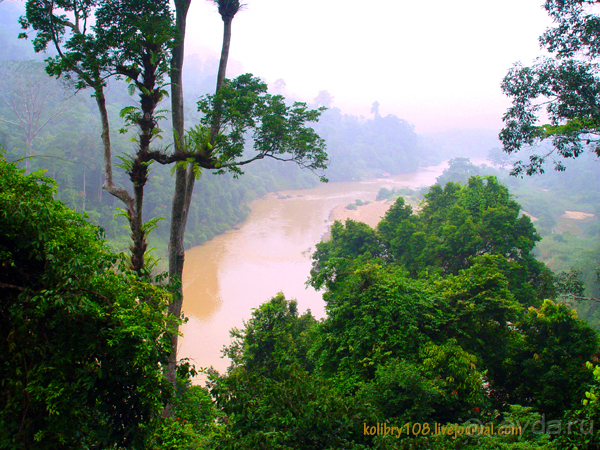 МАЛАЙЗИЯ (часть вторая)