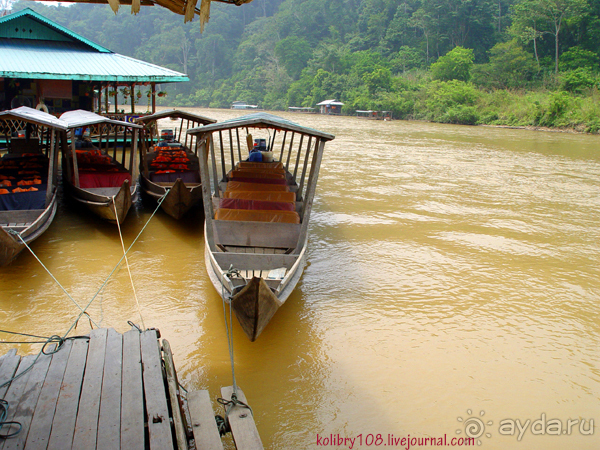 МАЛАЙЗИЯ (часть вторая)