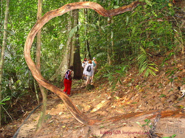 МАЛАЙЗИЯ (часть вторая)