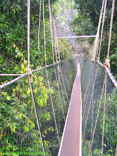 МАЛАЙЗИЯ (часть вторая)