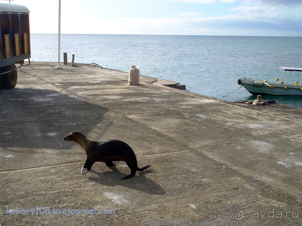 Галапагосы.