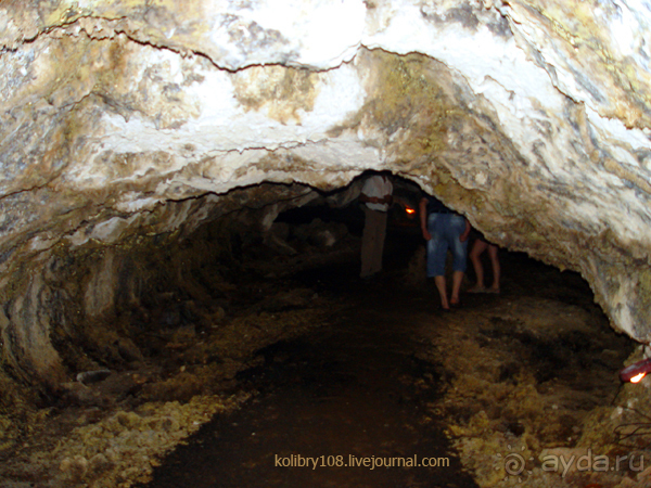 Галапагосы.