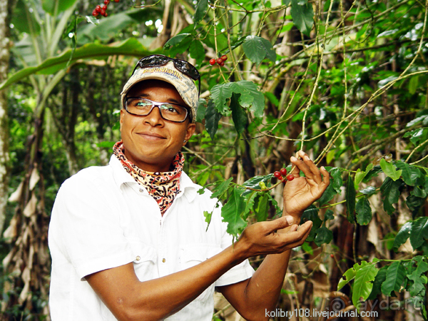 Галапагосы.