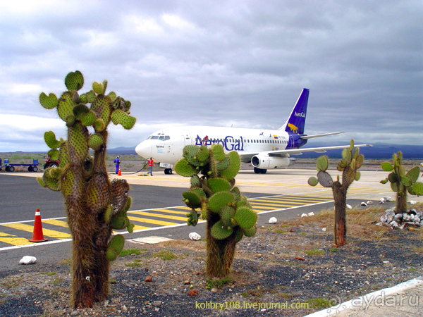 Галапагосы.