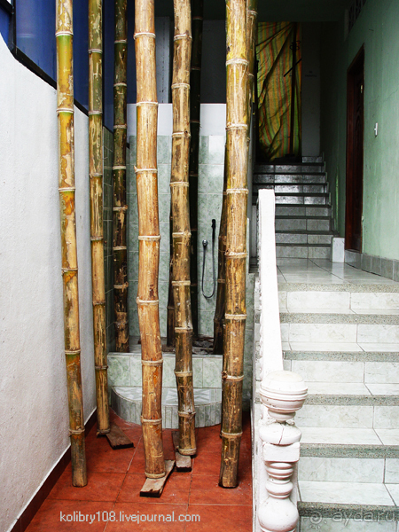 Галапагосы.