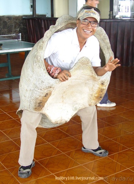 Галапагосы.