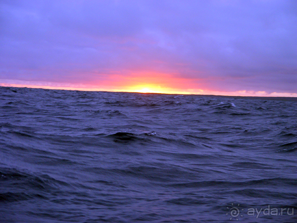 Галапагосы.