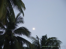 Альбом отзыва "Филиппины."