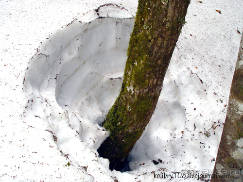 Две Рицы. Большая и Малая.