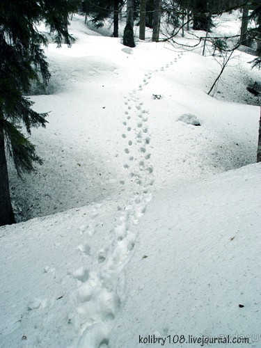 Две Рицы. Большая и Малая.