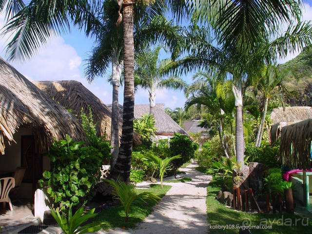 БОРА-БОРА - сладострастная отрава.